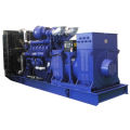 725kVA UK Motor Hochspannungs-Generator-Set (HV, 6300V, 10500V, 11000V)